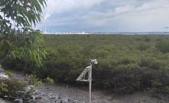 摆设正在区内的智能监现24小时不间断巡航